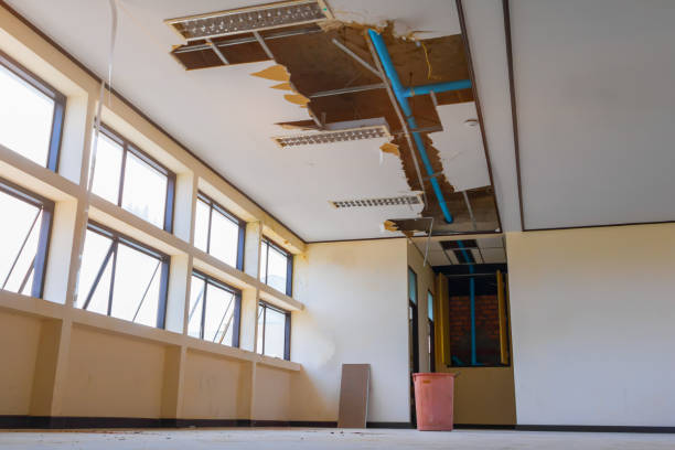 Best Water damage restoration experts  in Cabool, MO