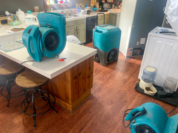Best Water damage restoration near me  in Cabool, MO