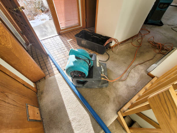 Best Emergency water damage restoration  in Cabool, MO