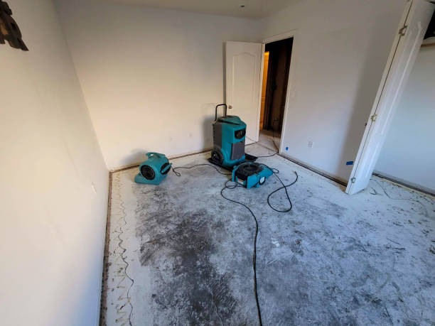 Best Carpet water damage restoration  in Cabool, MO