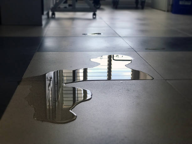 Best Professional water damage repair  in Cabool, MO