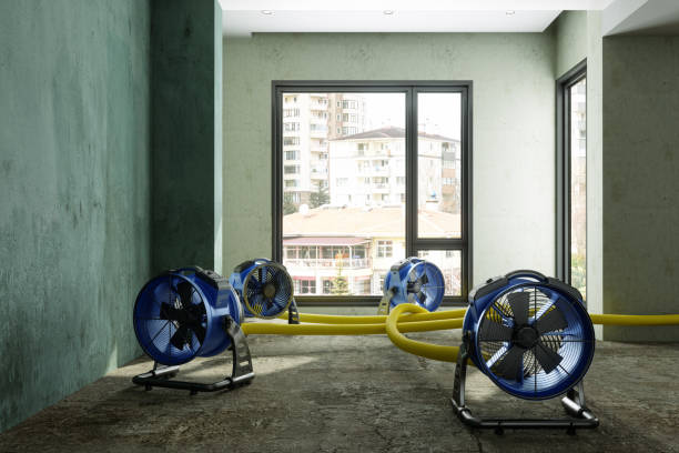 Best Sewage cleanup and water damage restoration  in Cabool, MO